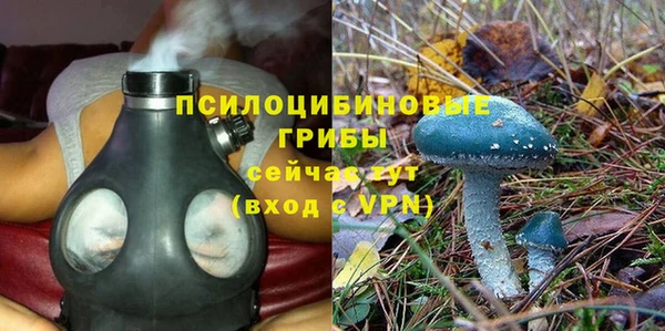 a pvp Алексеевка