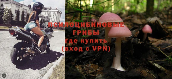a pvp Алексеевка
