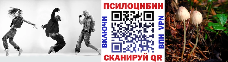 Псилоцибиновые грибы Psilocybine cubensis  купить наркотик  Нурлат 