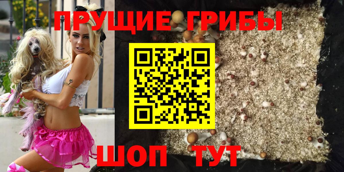 Галлюциногенные грибы Psilocybine cubensis  Галлюциногенные грибы MAGIC MUSHROOMS  Нурлат  купить   Вход с VPN 